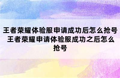 王者荣耀体验服申请成功后怎么抢号 王者荣耀申请体验服成功之后怎么抢号